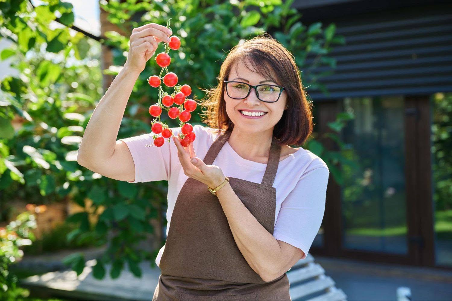 closeup of branch of red cherry tomatoes in hands of woman