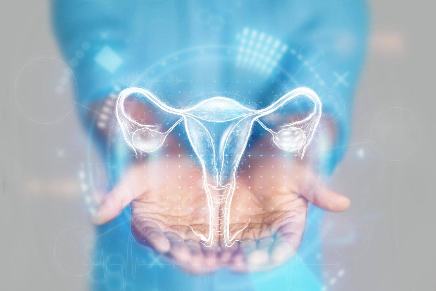 closeup ultrasound of the uterus